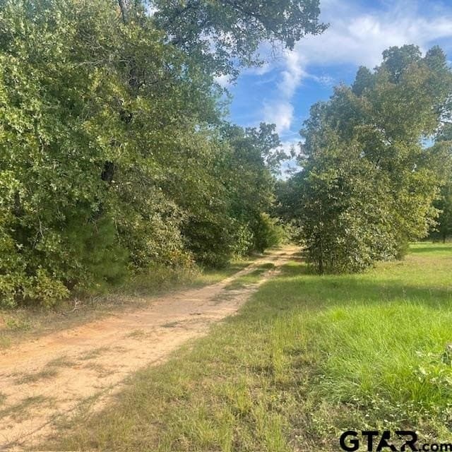 298.69 acres in Wood County - photo 18