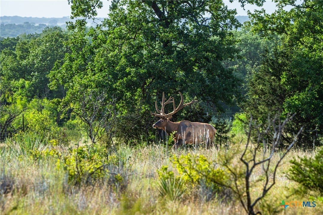 235 acres in Comanche County - photo 18