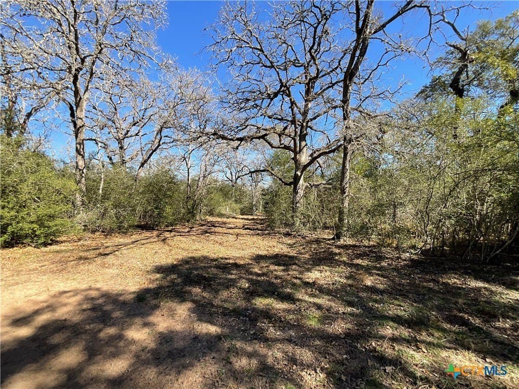 50 acres in Lavaca County - photo 37