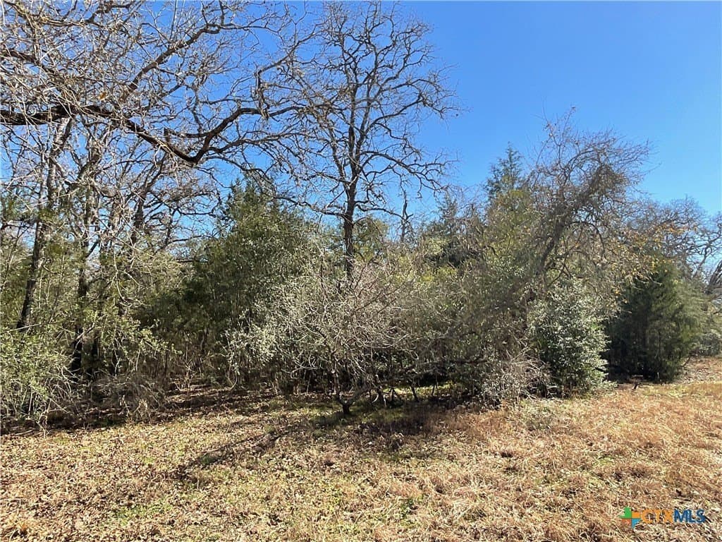 50 acres in Lavaca County - photo 42
