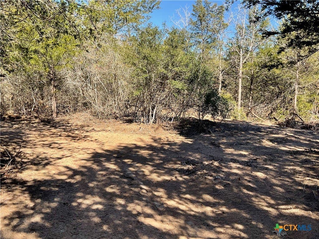 50 acres in Lavaca County - photo 14