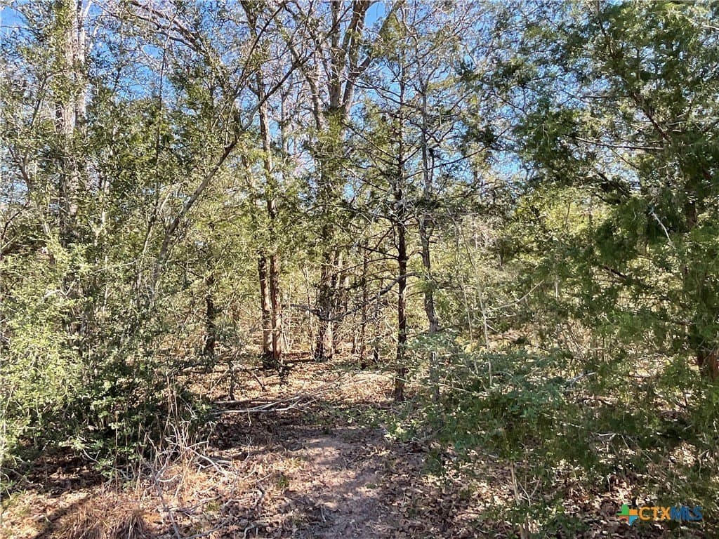 50 acres in Lavaca County - photo 44
