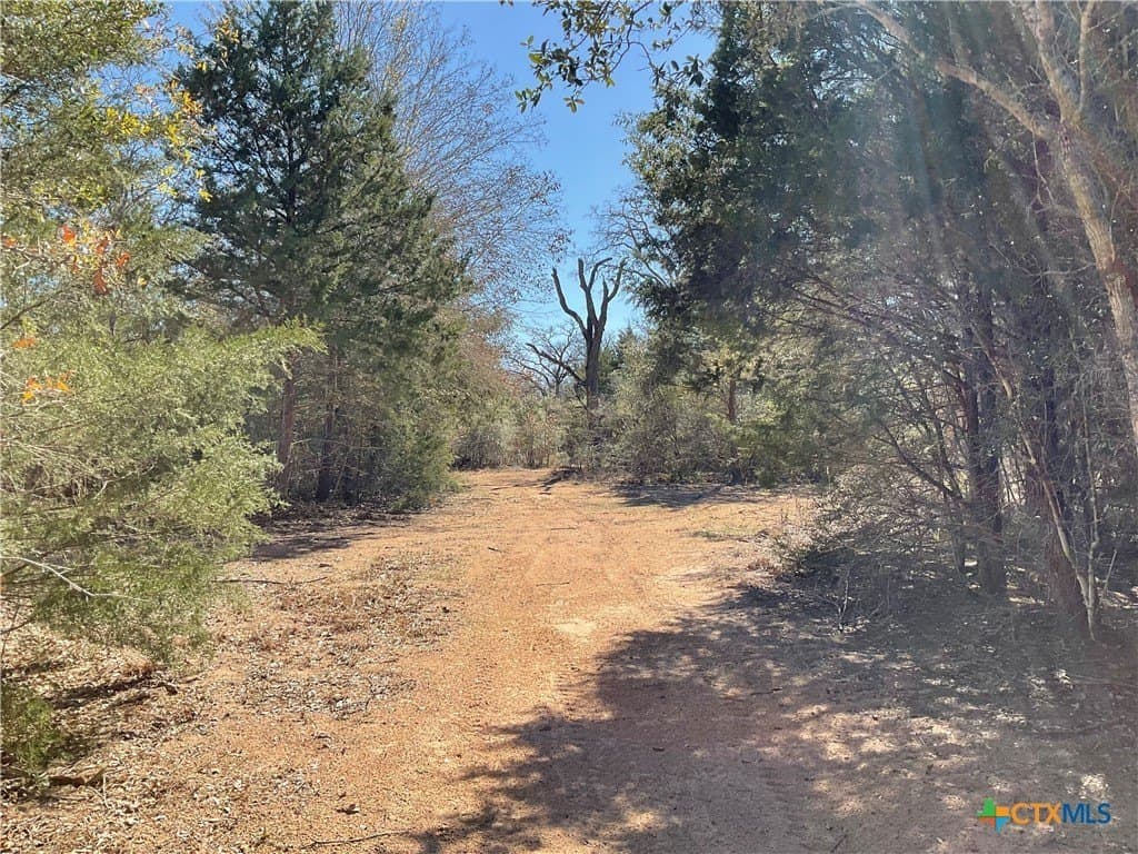 50 acres in Lavaca County - photo 40