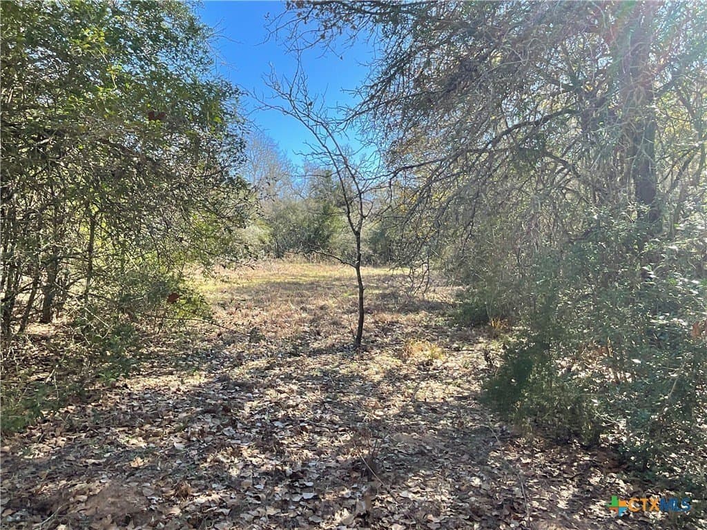 50 acres in Lavaca County - photo 30