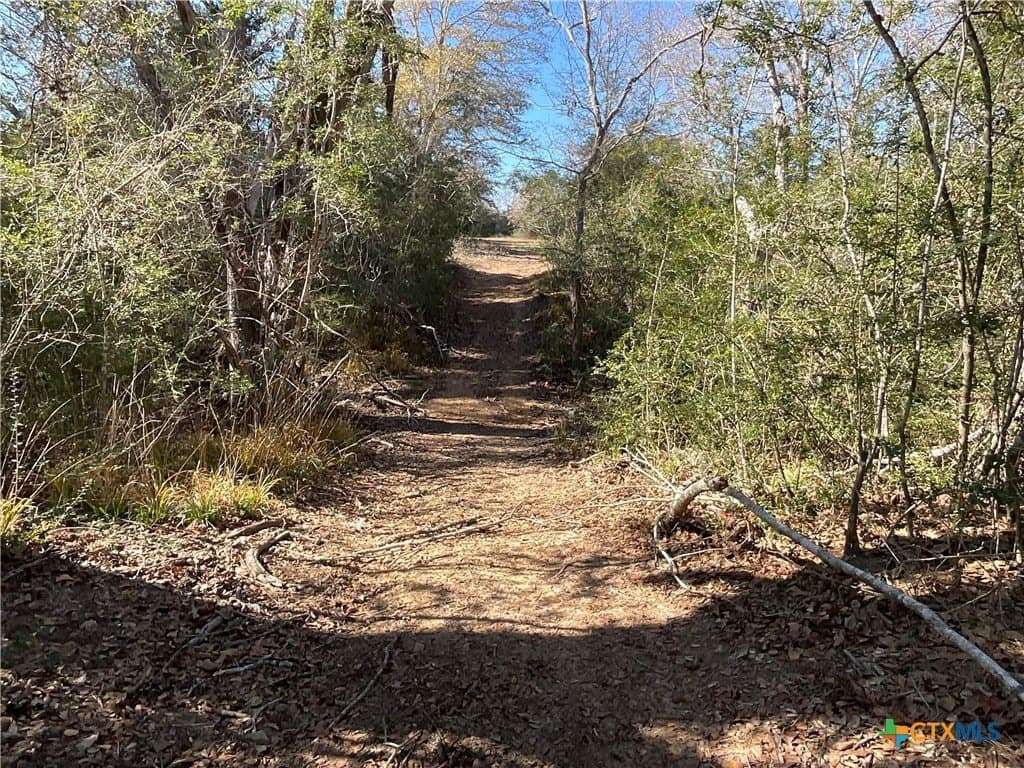 50 acres in Lavaca County - photo 28