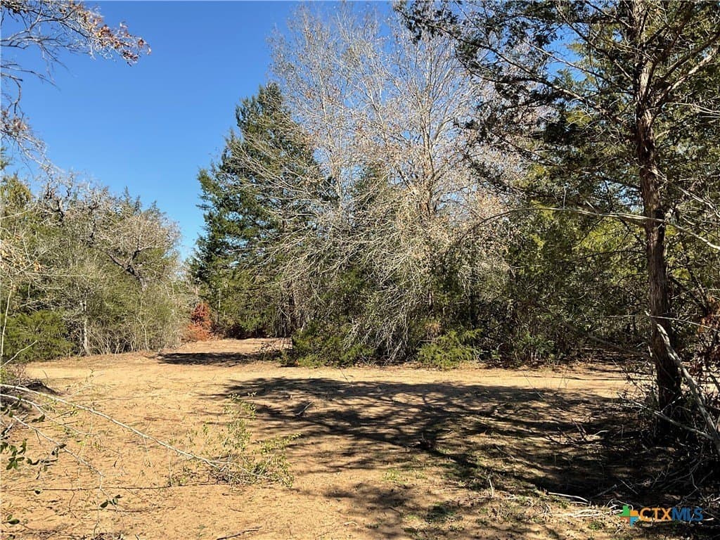 50 acres in Lavaca County - photo 16