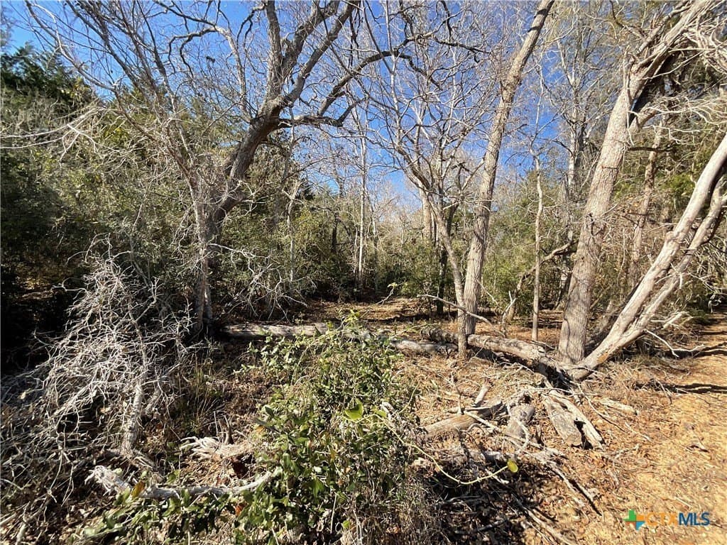 50 acres in Lavaca County - photo 3