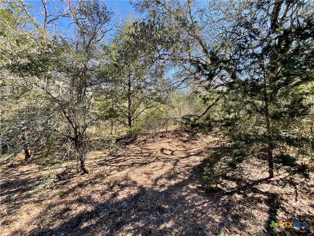 50 acres in Lavaca County - photo 47