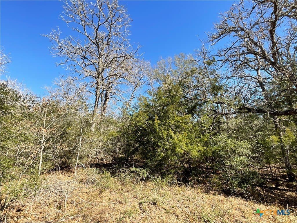 50 acres in Lavaca County - photo 45