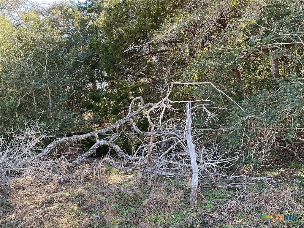 50 acres in Lavaca County - photo 9