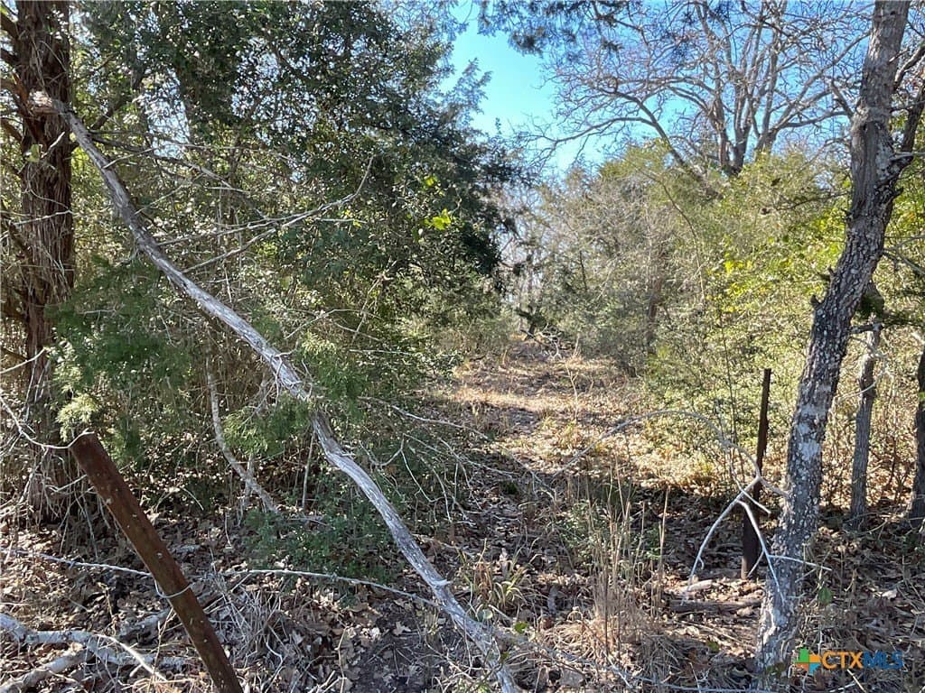 50 acres in Lavaca County - photo 2