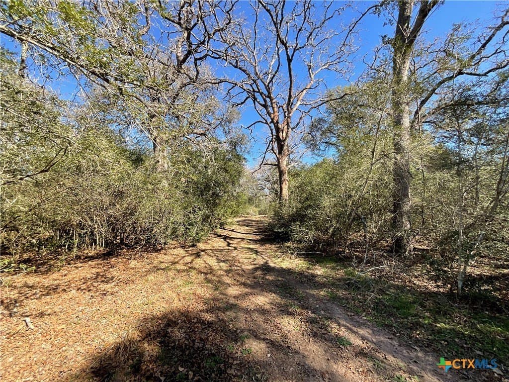 50 acres in Lavaca County - photo 36