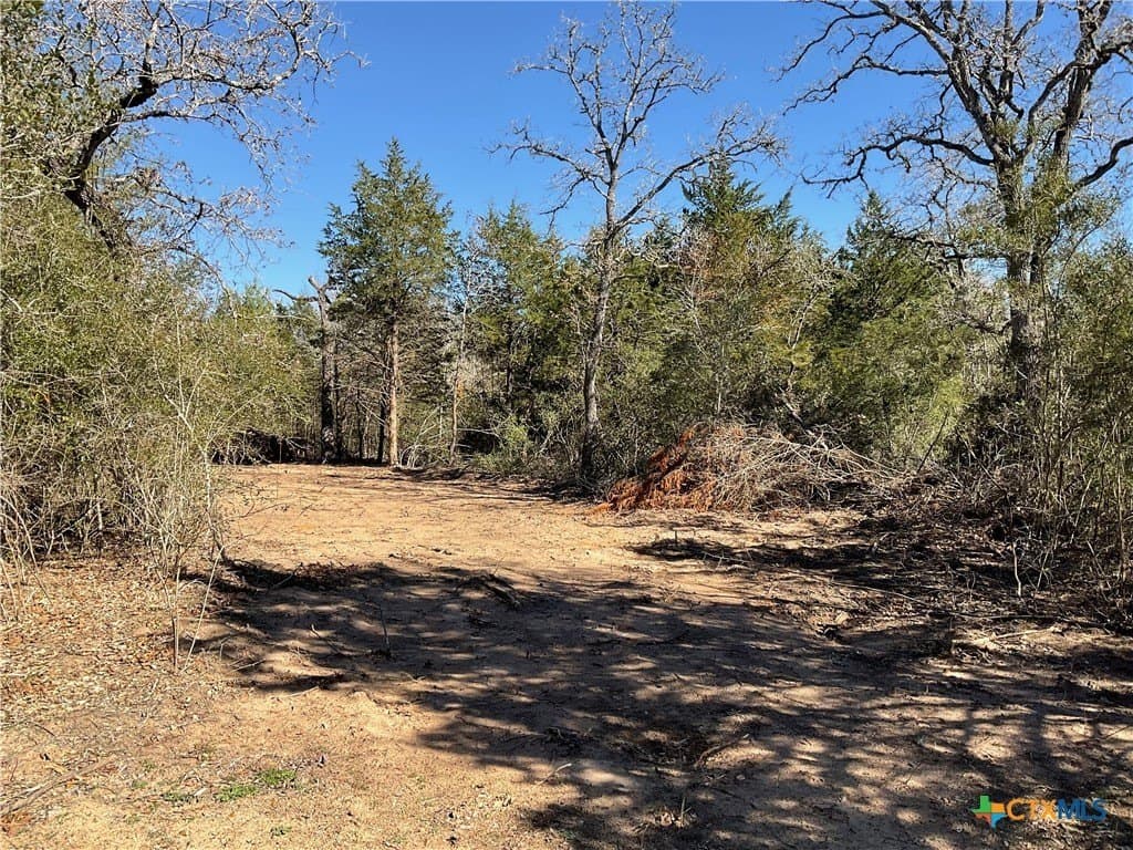 50 acres in Lavaca County - photo 39