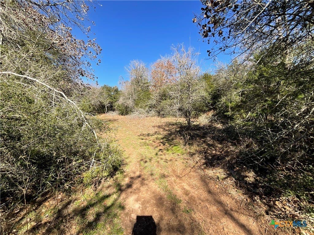 50 acres in Lavaca County - photo 32
