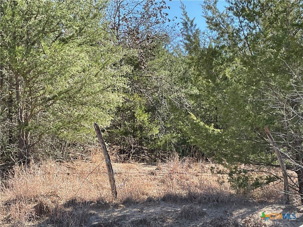 50 acres in Lavaca County - photo 11