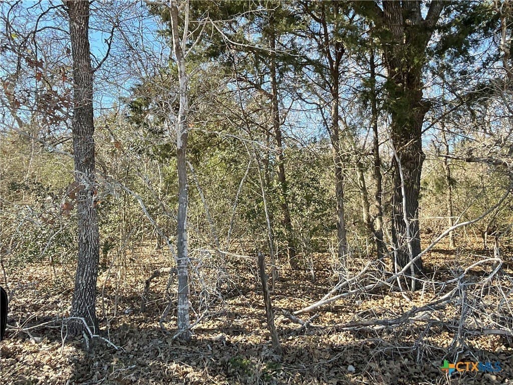 50 acres in Lavaca County - photo 7