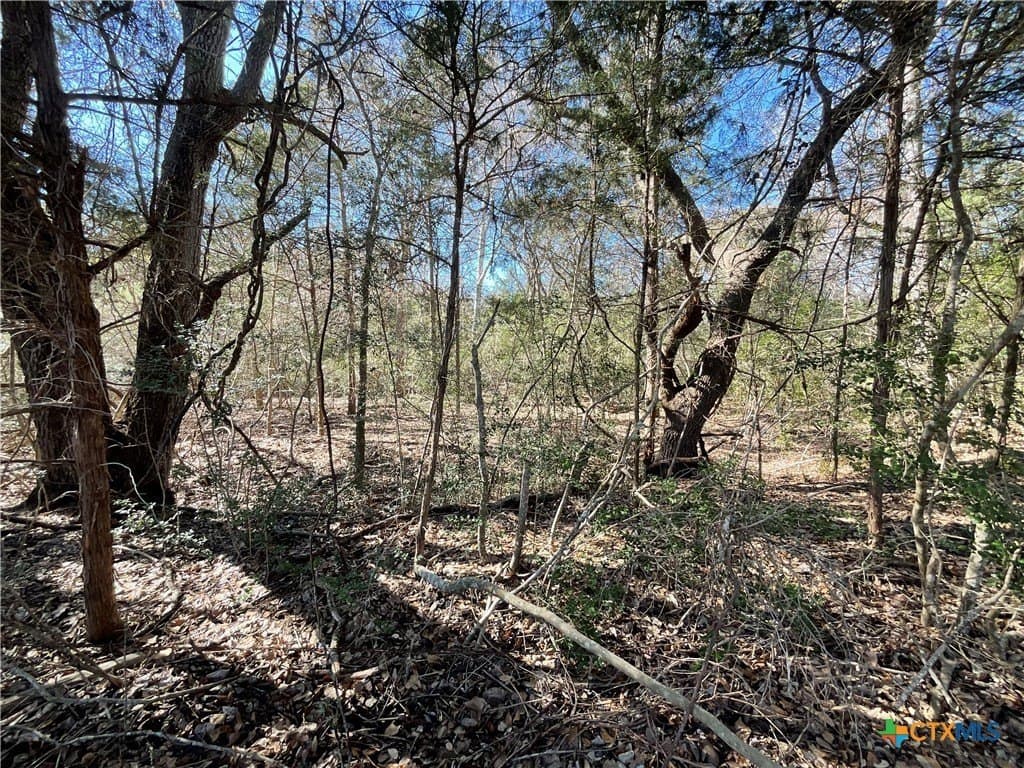 50 acres in Lavaca County - photo 4