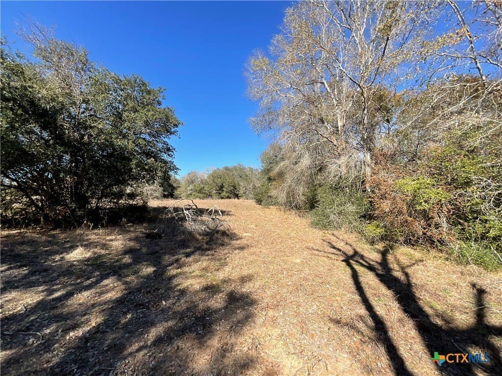 50 acres in Lavaca County - photo 26