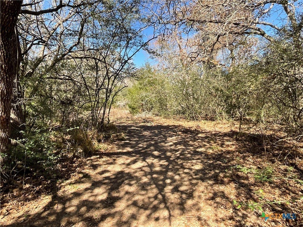50 acres in Lavaca County - photo 29
