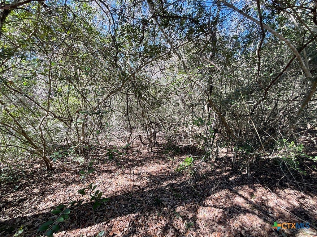 50 acres in Lavaca County - photo 33