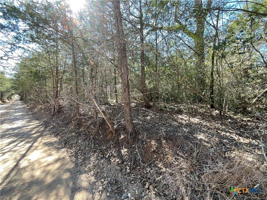 50 acres in Lavaca County - photo 5