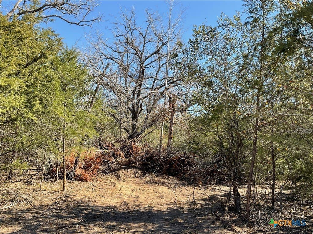 50 acres in Lavaca County - photo 17