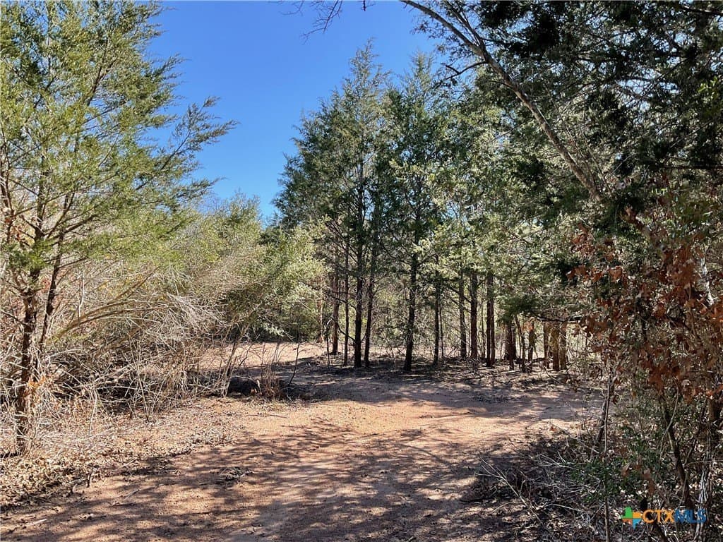 50 acres in Lavaca County - photo 38