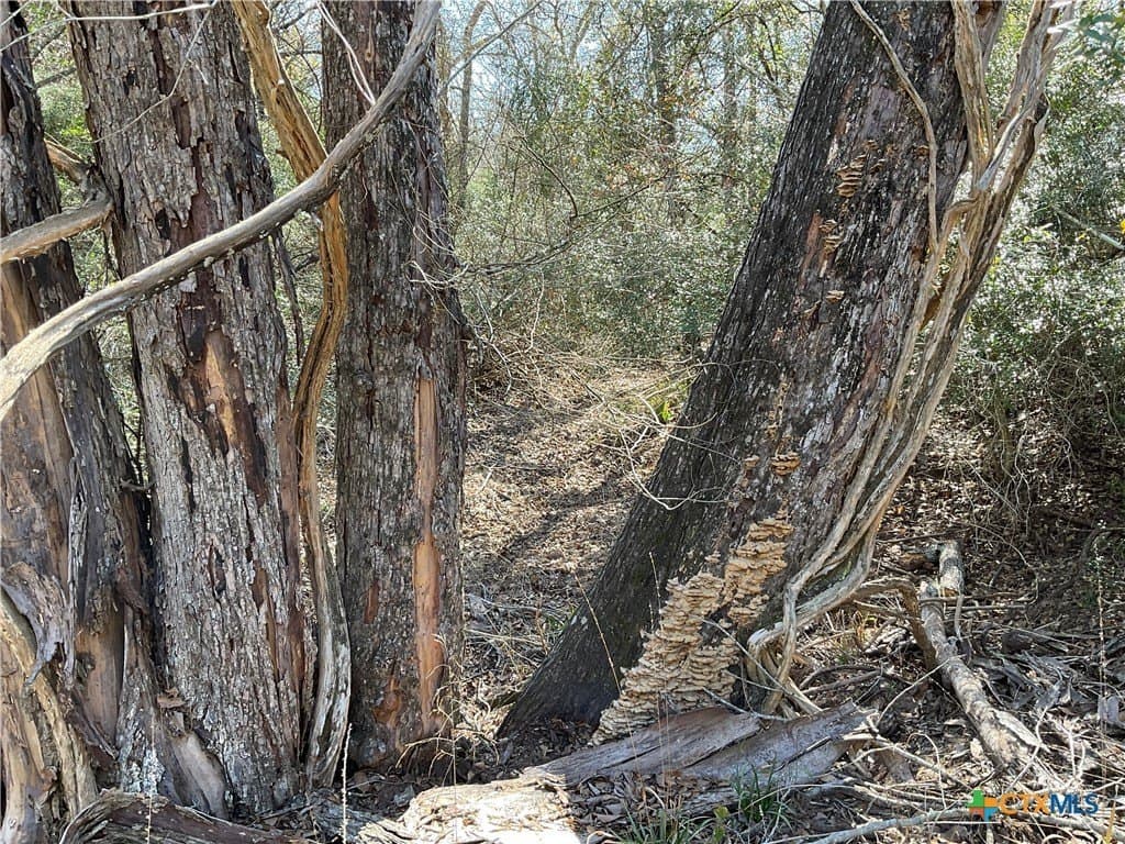 50 acres in Lavaca County - photo 27