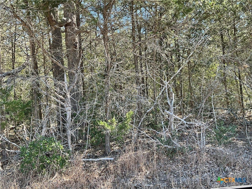50 acres in Lavaca County - photo 10