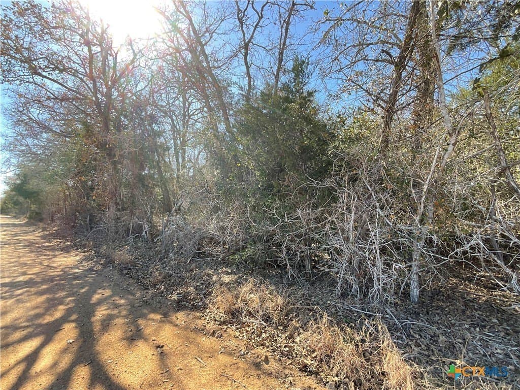 50 acres in Lavaca County - photo 8