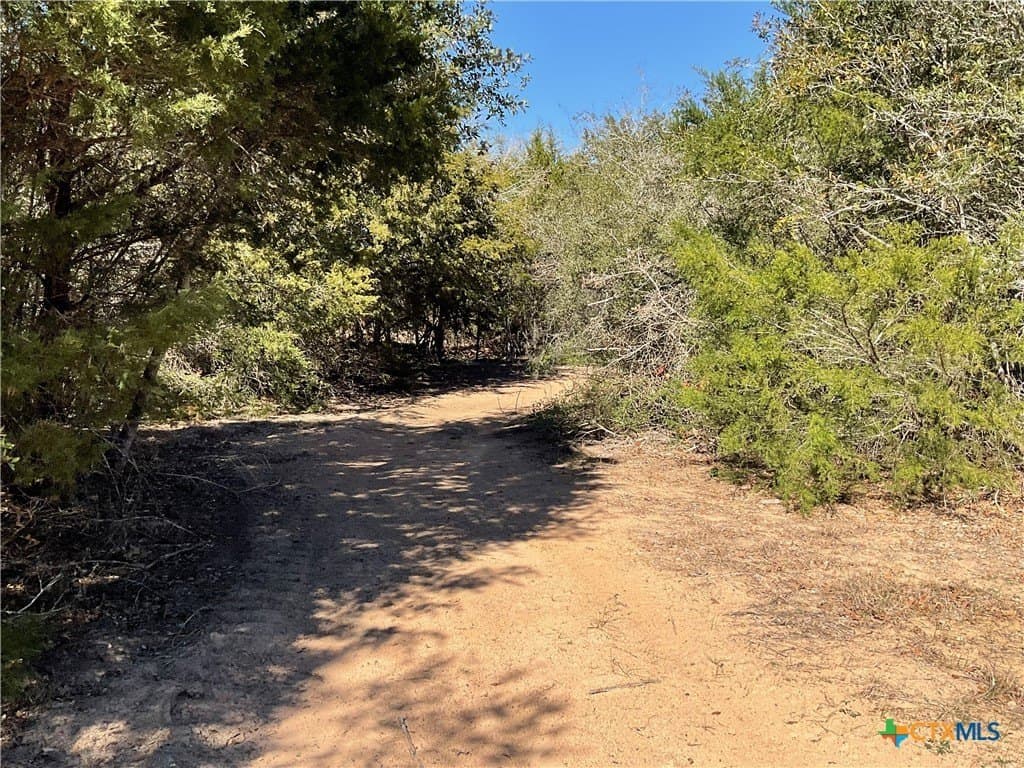 50 acres in Lavaca County - photo 15