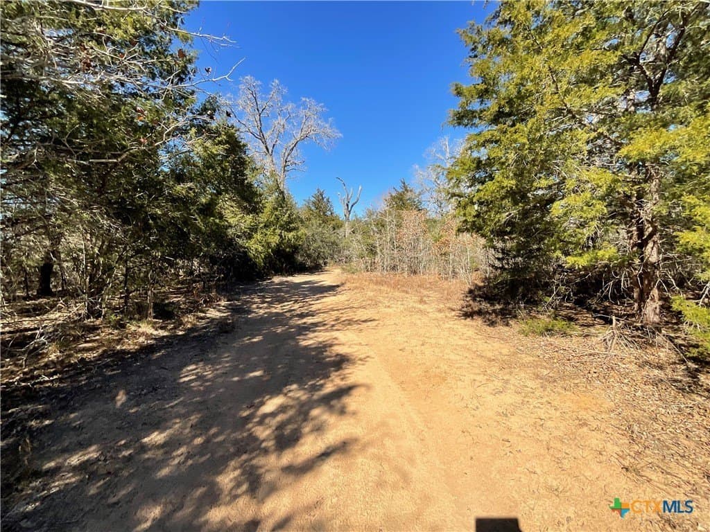 50 acres in Lavaca County - photo 41