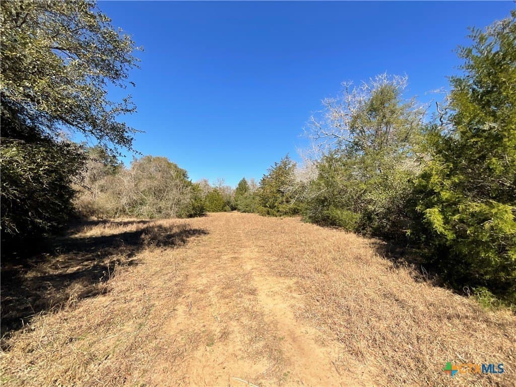 50 acres in Lavaca County - photo 34
