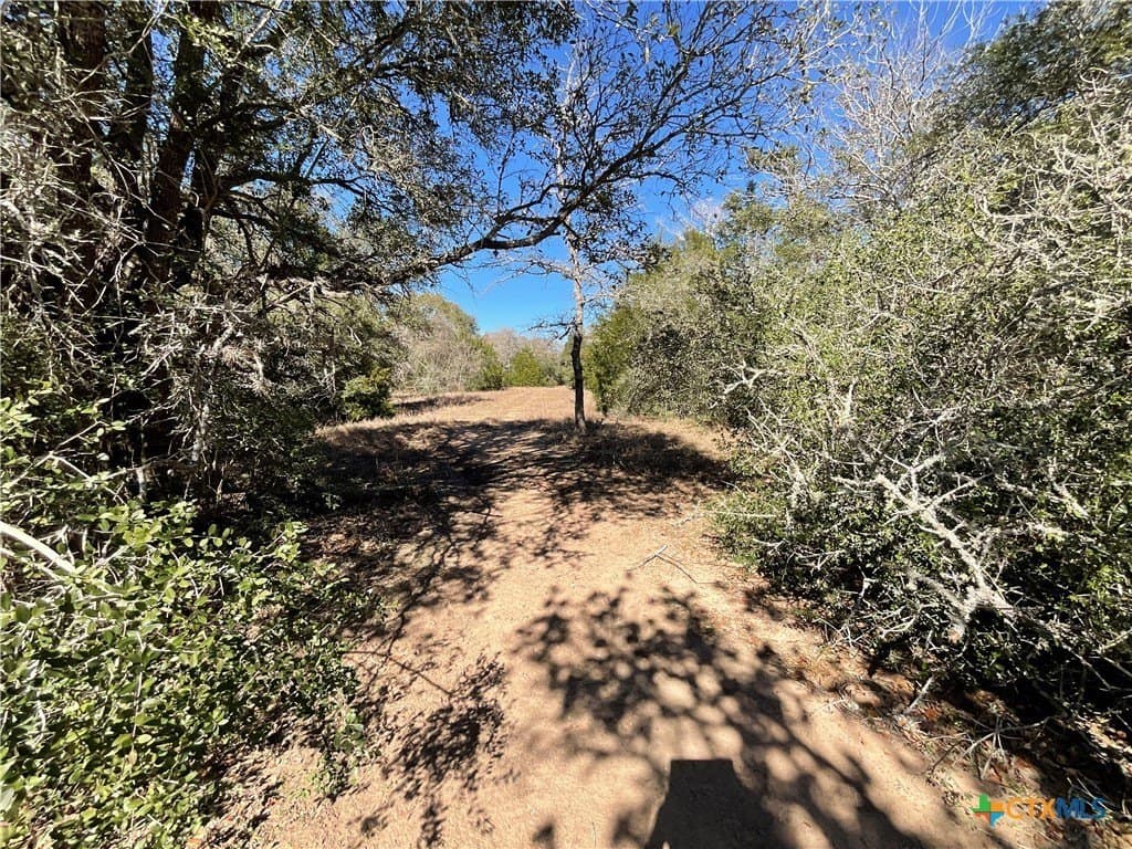 50 acres in Lavaca County - photo 35