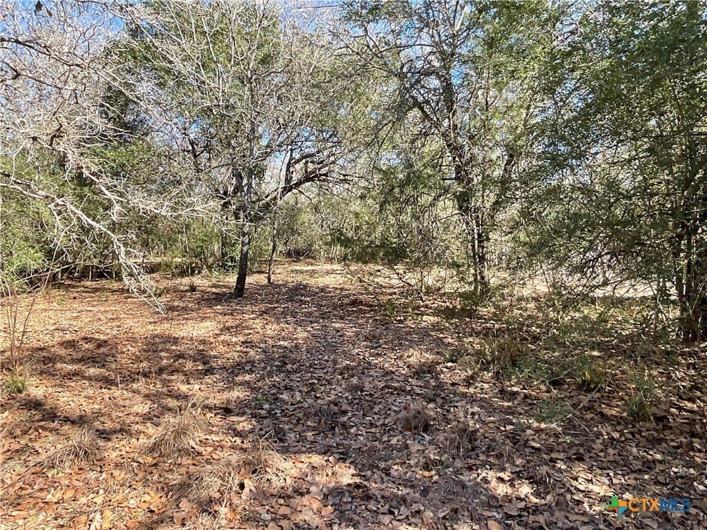 50 acres in Lavaca County - photo 31