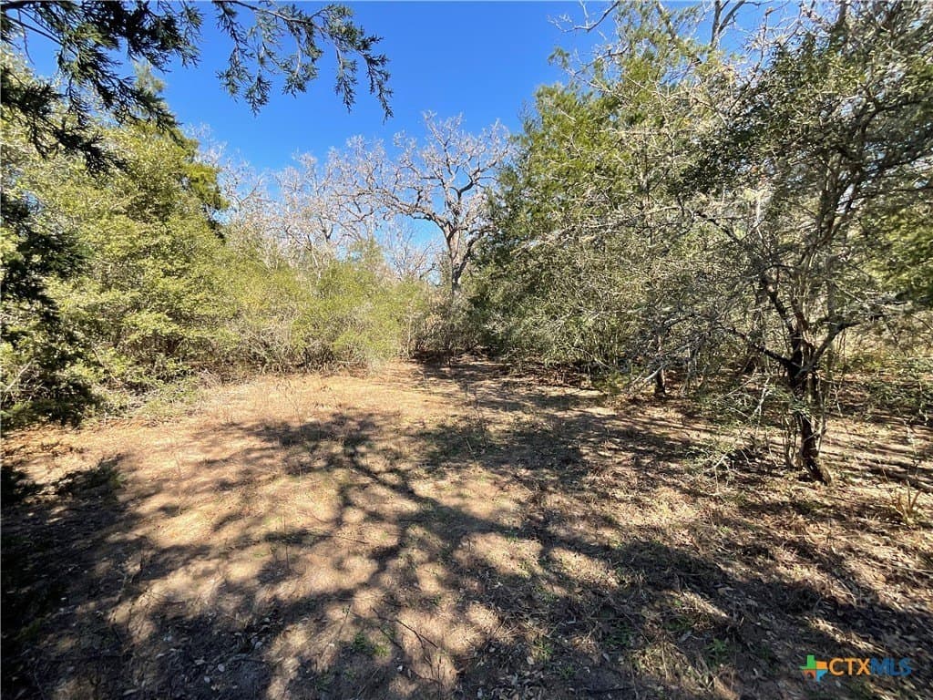 50 acres in Lavaca County - photo 43