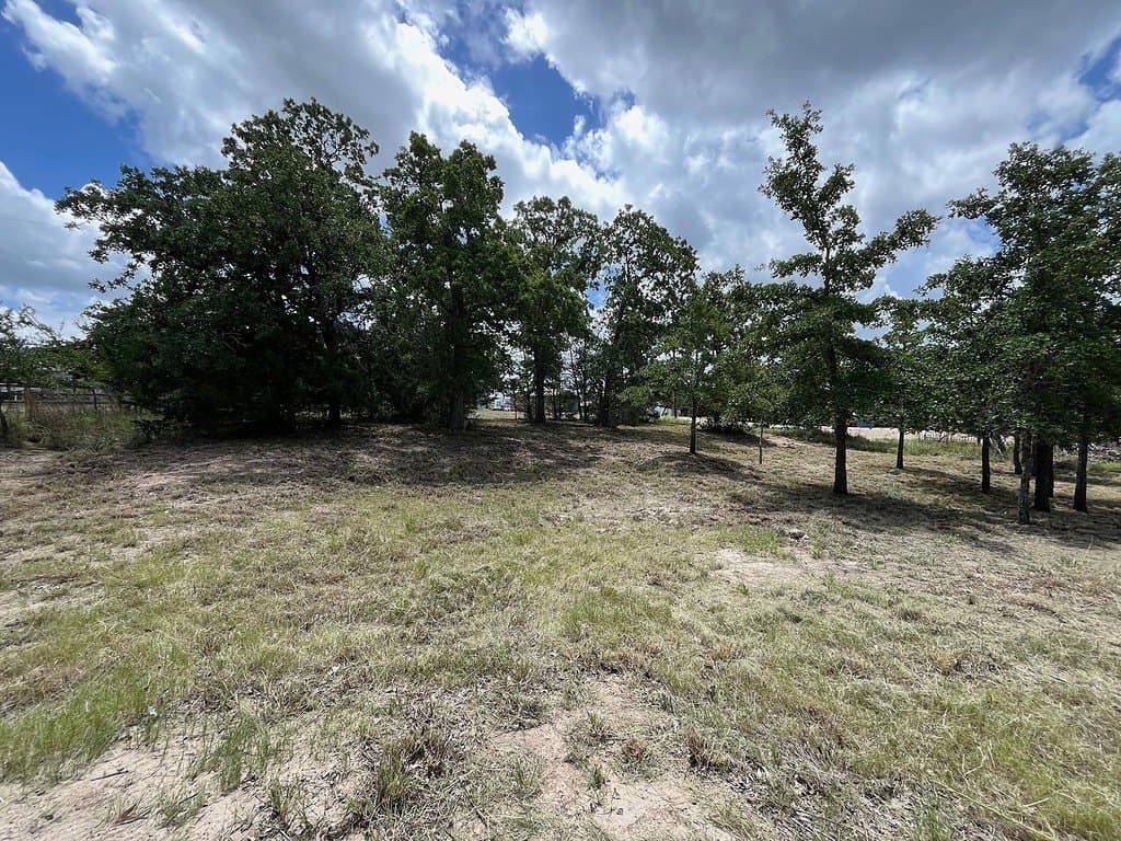 0.32 acres in Burleson County - photo 2