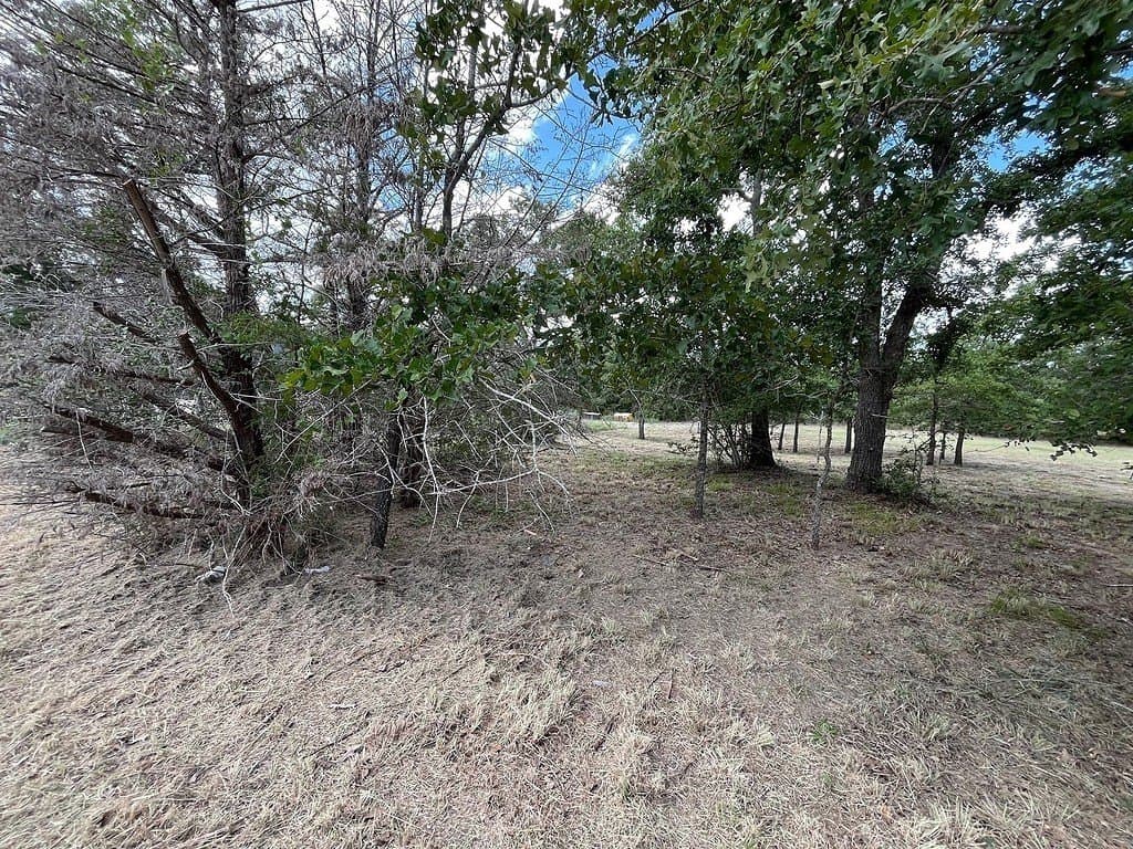 0.32 acres in Burleson County - photo 5