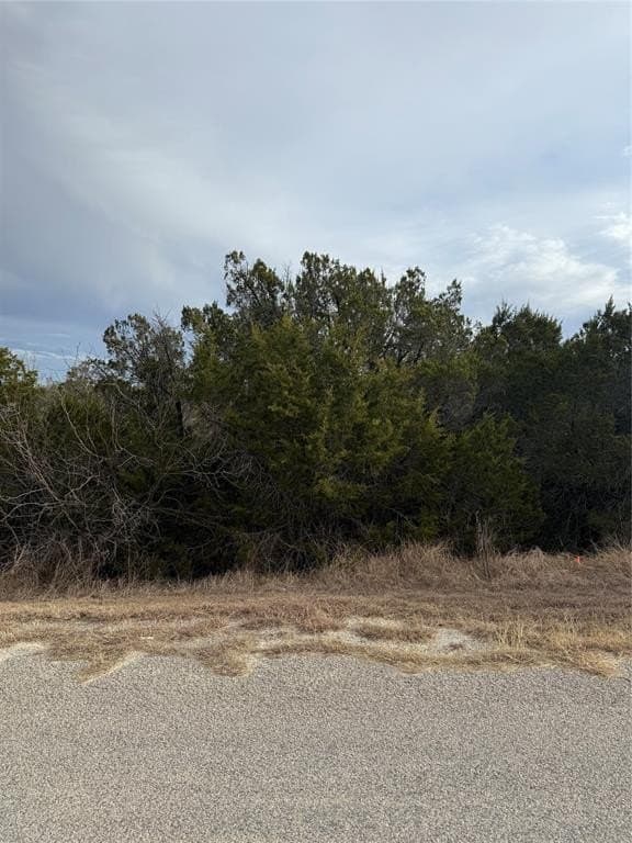 0.07 acres in Hood County - photo 2