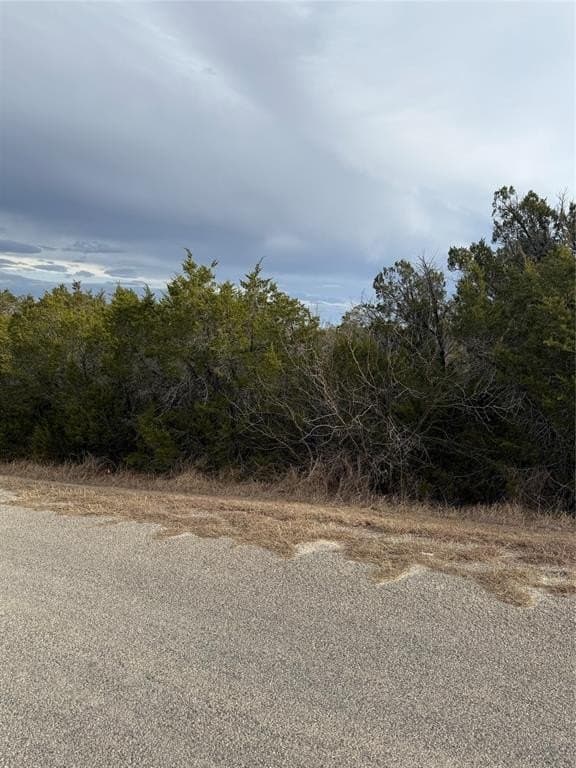 0.07 acres in Hood County - photo 3