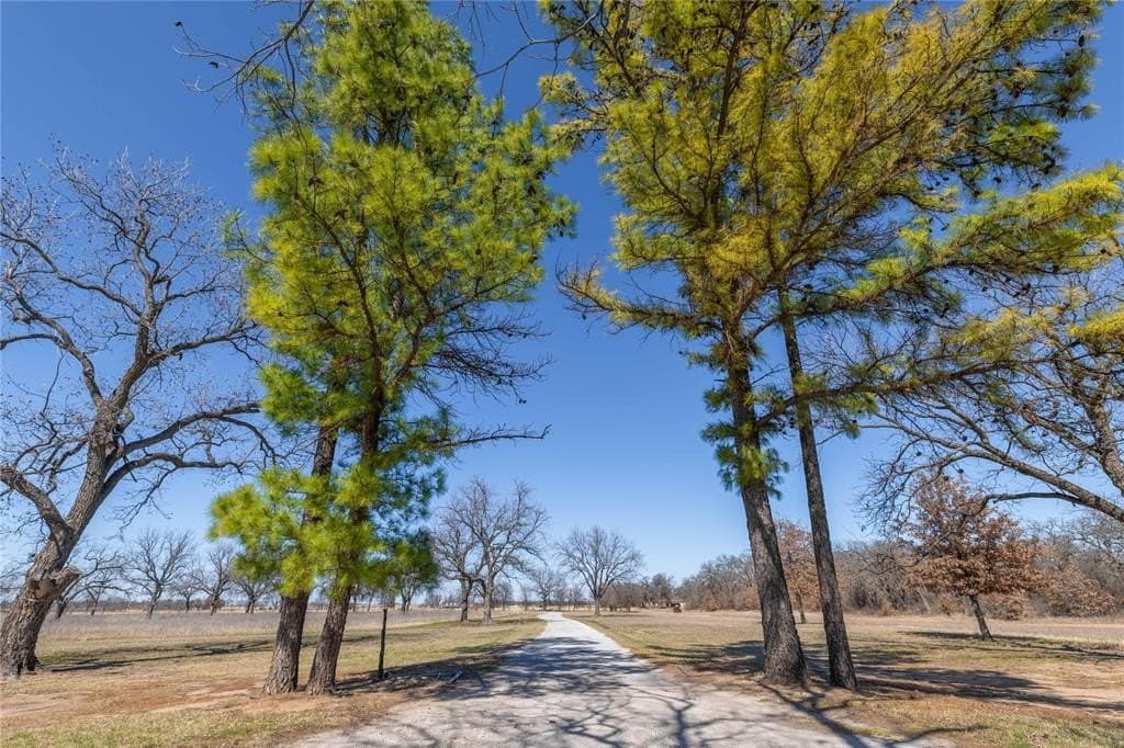 30.84 acres in Eastland County - photo 34