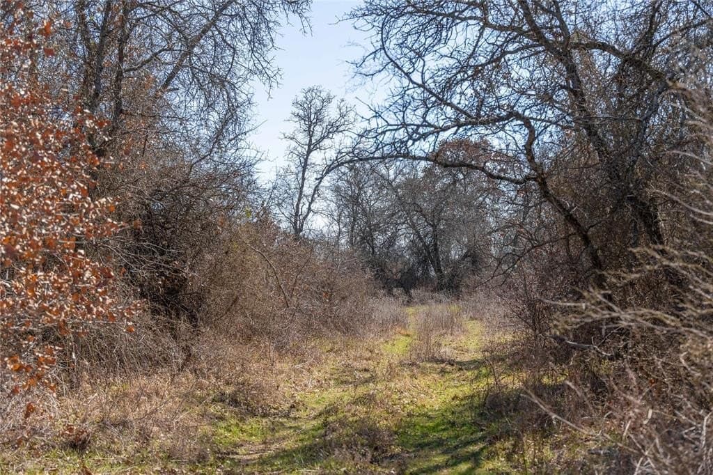 30.84 acres in Eastland County - photo 36