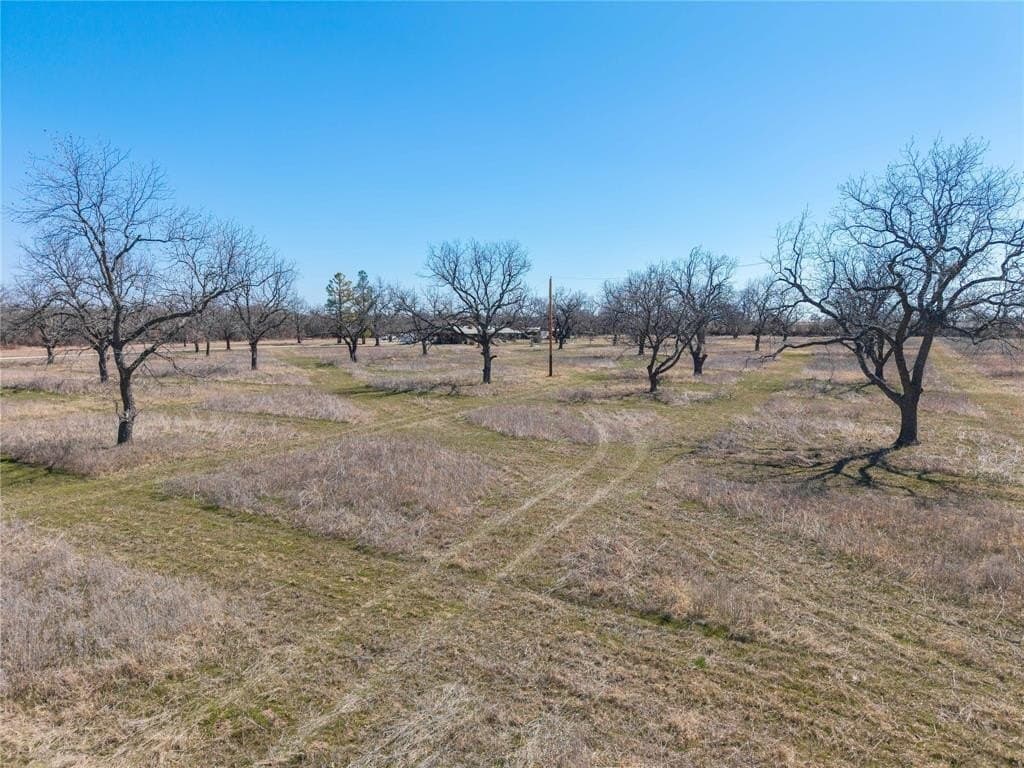 30.84 acres in Eastland County - photo 10