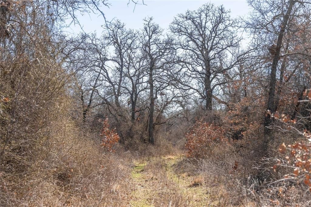 30.84 acres in Eastland County - photo 39