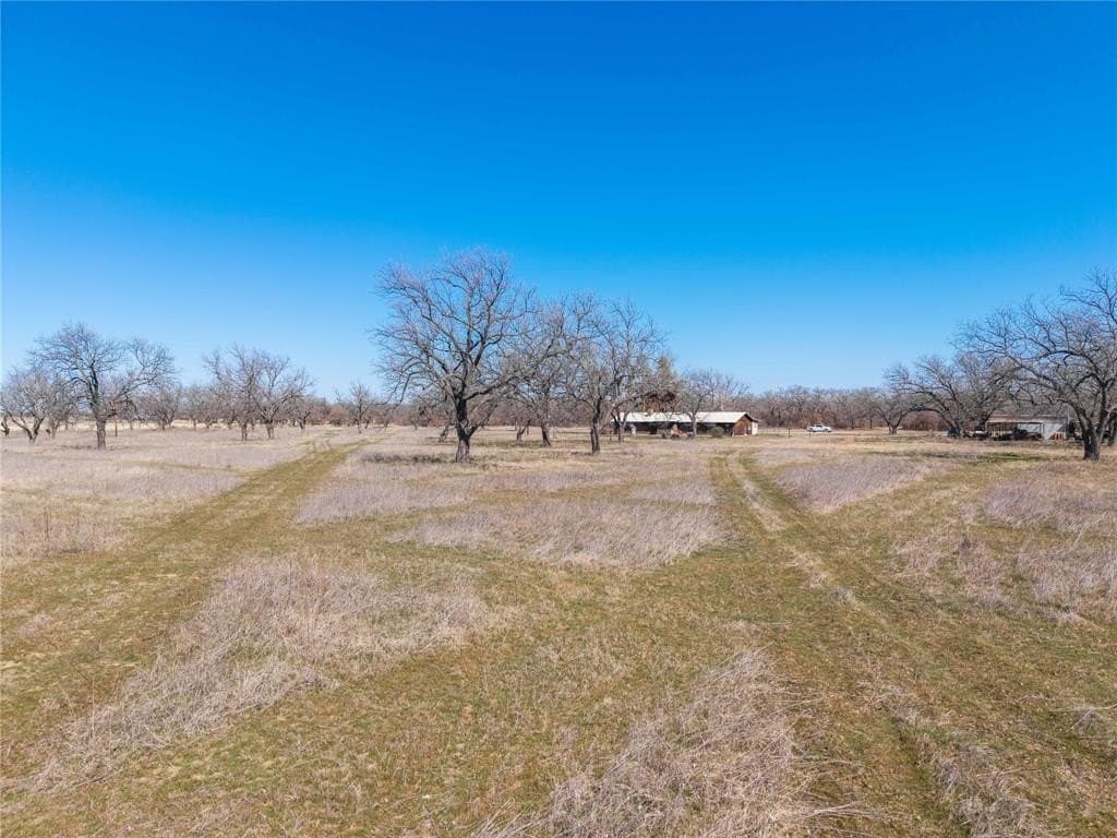 30.84 acres in Eastland County - photo 17