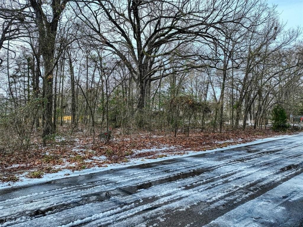 0.12 acres in Henderson County - photo 9