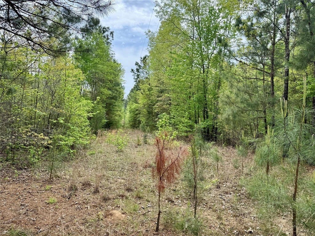 50.13 acres in Cass County - photo 31