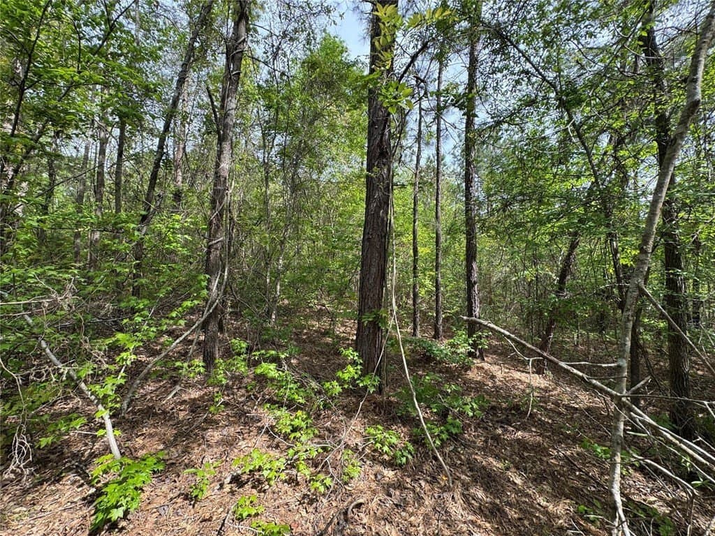 50.13 acres in Cass County - photo 27