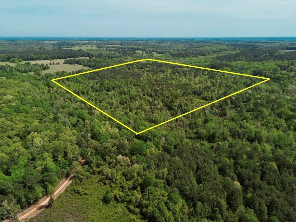 50.13 acres in Cass County - photo 16