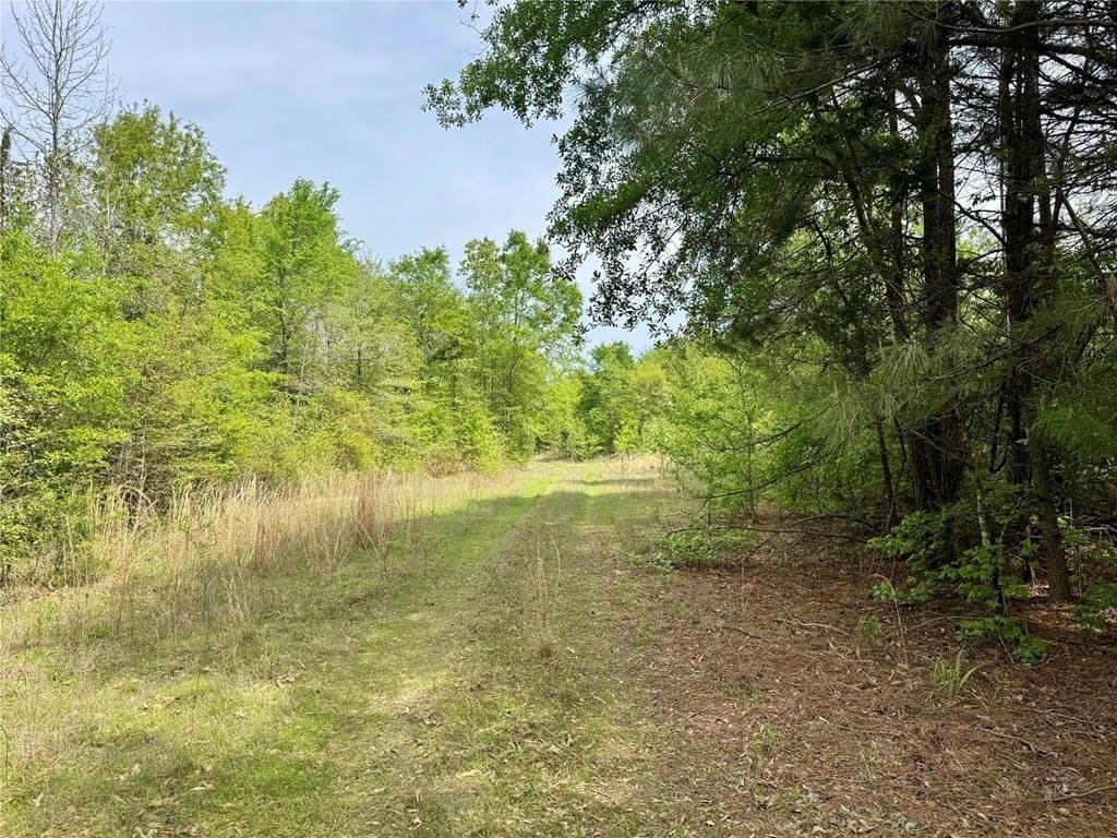 50.13 acres in Cass County - photo 17